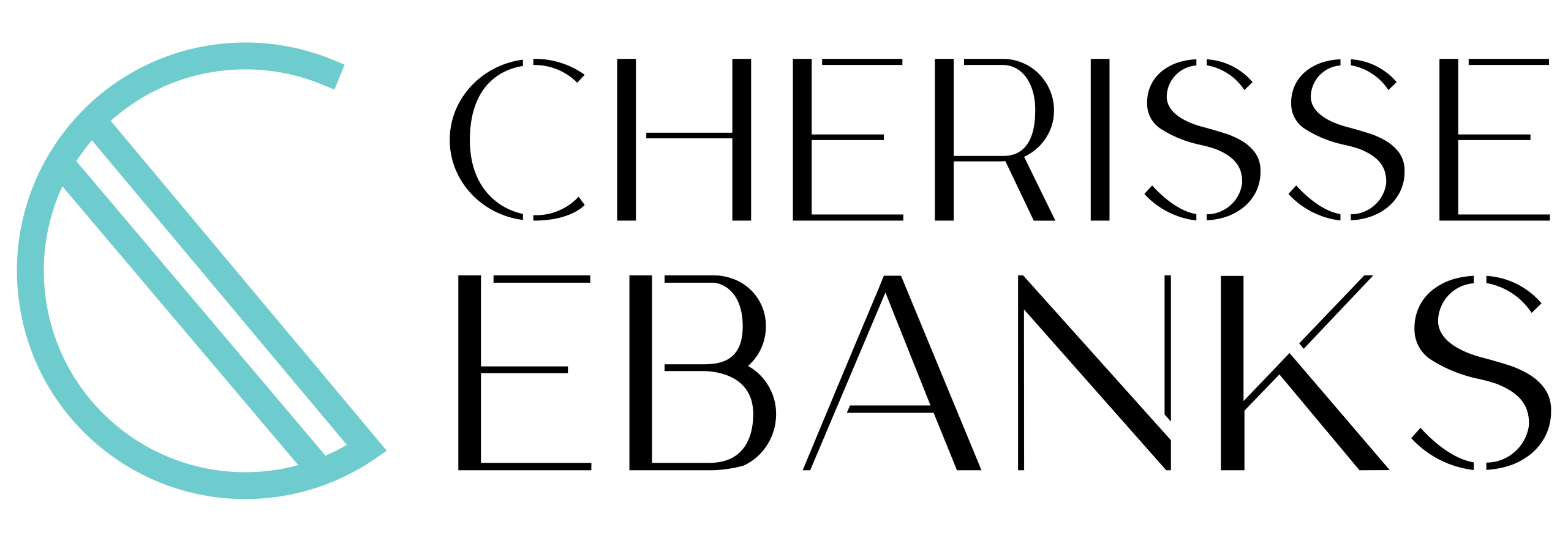 CE Portfolio Logos-01 (1)